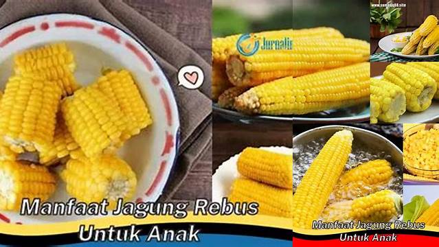 Temukan Manfaat Jagung Rebus yang Jarang Diketahui