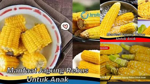 Temukan Rahasia Jagung Rebus untuk Anak yang Anda Perlu Tahu