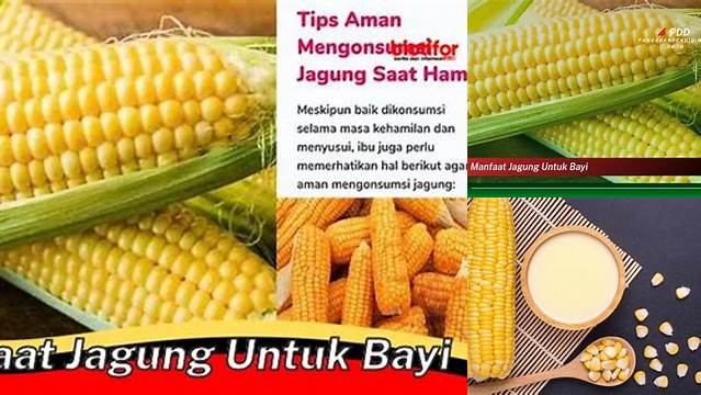 Temukan Rahasia Jagung untuk Si Kecil: 5 Manfaat yang Tidak Diketahui