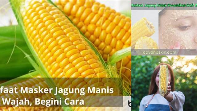 Temukan Manfaat Tak Terduga Jagung untuk Wajah yang Perlu Anda Ketahui