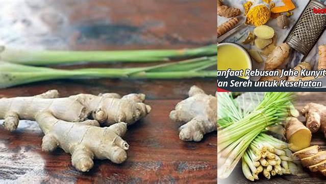 Temukan Khasiat Jahe dan Sereh yang Jarang Diketahui