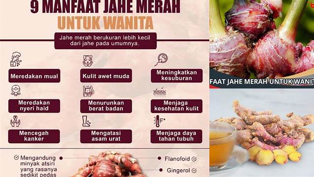 Temukan Manfaat Jahe Merah untuk Wanita yang Jarang Diketahui