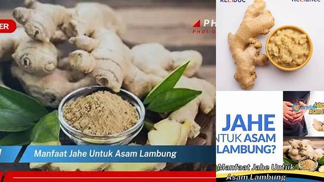 Unveil the Benefits of Ginger for Acid Reflux: Discoveries You Need to Know