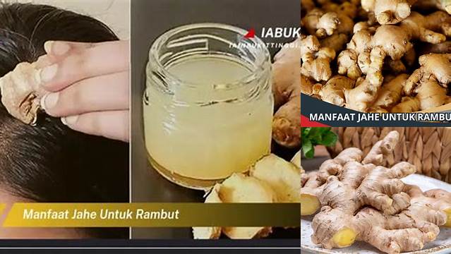 Manfaat Jahe untuk Rambut: Temuan dan Wawasan yang Langka Diketahui