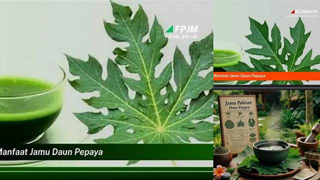 5 Manfaat Jamu Pepaya yang Jarang Diketahui yang Akan Memukau Anda