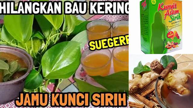 Manfaat Jamu Sirih Kunci yang Jarang Diketahui untuk Kesehatan Wanita