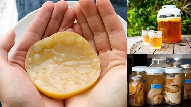 Temukan 7 Manfaat Jamur Scoby yang Jarang Diketahui