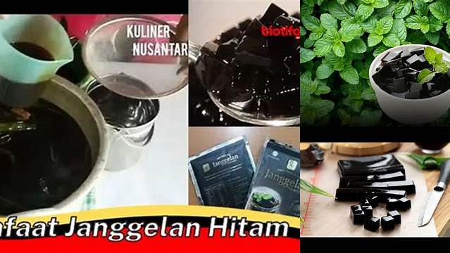 Manfaat Janggelan Hitam yang Belum Diketahui, Wajib Dicoba!