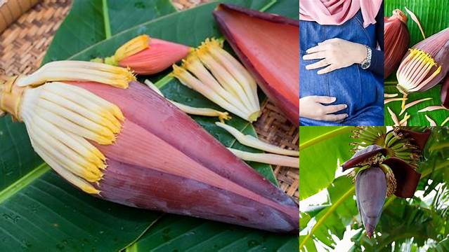 Temukan Khasiat Jantung Pisang untuk Ibu Hamil, Fakta Langka yang Perlu Diketahui