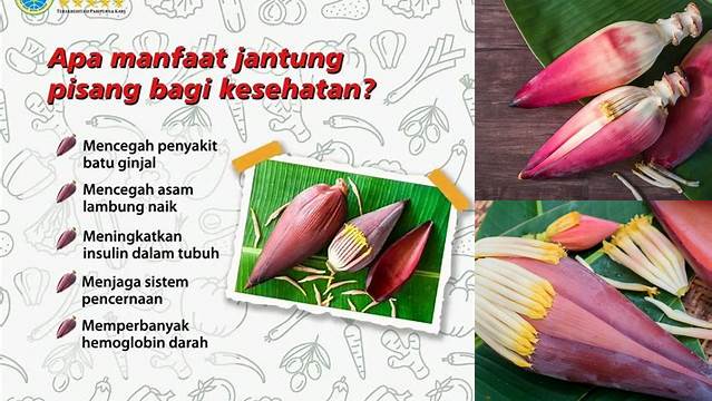 Temukan Manfaat Tersembunyi Jantung Pisang untuk Ibu Menyusui yang Jarang Diketahui
