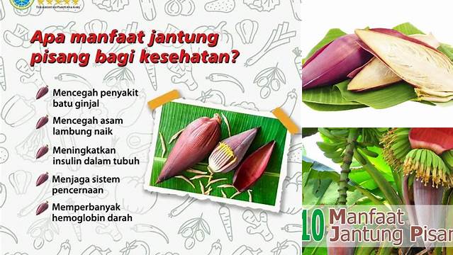 Temukan Khasiat Jantung Pisang untuk Wanita yang Jarang Diketahui