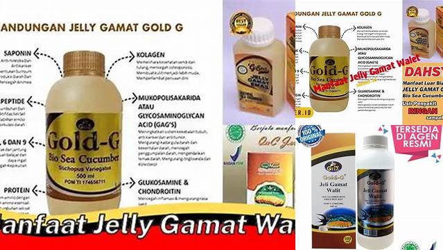 Temukan Manfaat Jelly Gamat Walet yang Jarang Diketahui