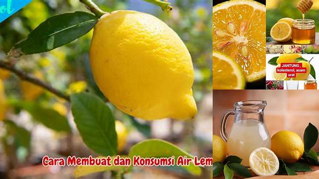 Manfaat Jeruk Lemon untuk Lambung yang Jarang Diketahui