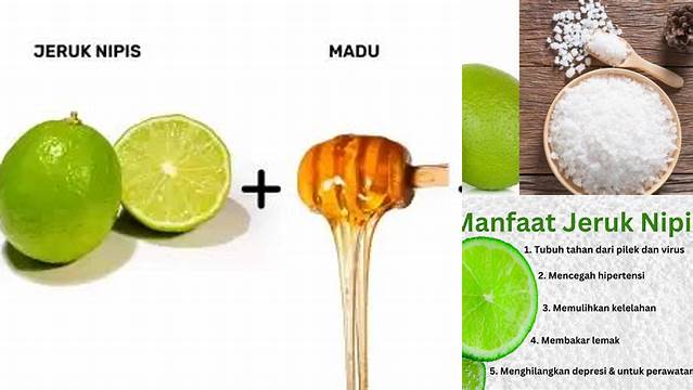 Temukan Khasiat Jeruk Nipis, Madu, dan Garam: Manfaat yang Jarang Diketahui yang Perlu Anda Tahu