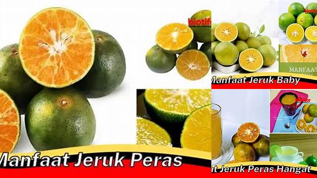 10 Manfaat Jeruk Peras yang Jarang Diketahui