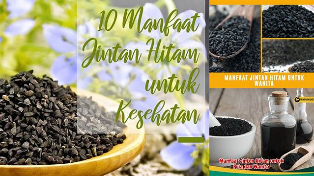 Temukan Manfaat Jintan Hitam untuk Wanita yang Jarang Diketahui