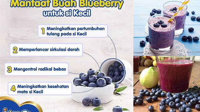 Temukan Manfaat Jus Blueberry yang Tak Terduga, Wajib Tahu!