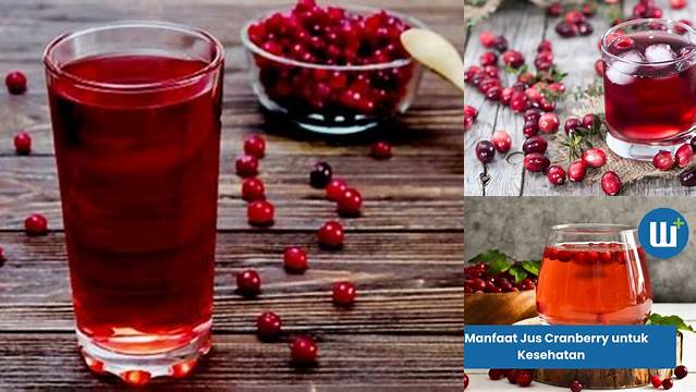 Temukan 9 Manfaat Jus Cranberry yang Jarang Diketahui