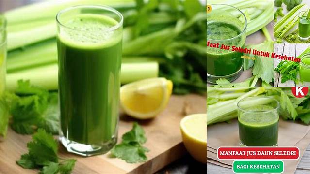 Temukan Manfaat Jus Seledri untuk Kesehatan yang Jarang Diketahui