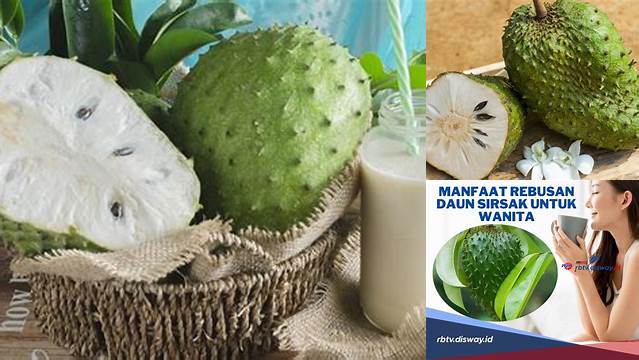 Manfaat Jus Sirsak untuk Kecantikan yang Jarang Diketahui, Harus Kamu Tahu!