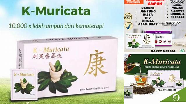 Temukan 10 Manfaat K Muricata yang Jarang Diketahui