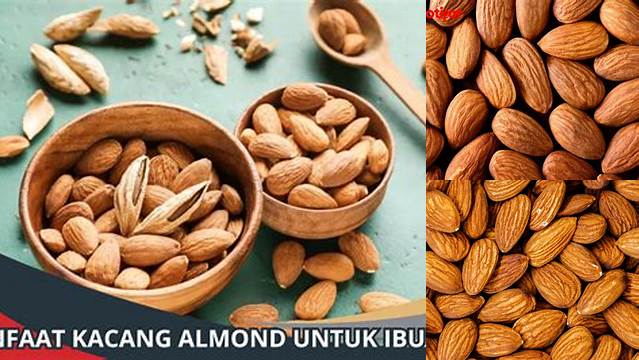 Temukan Khasiat Kacang Almond untuk Ibu Menyusui, Jarang Diketahui!