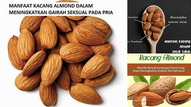 Temukan Manfaat Luar Biasa Kacang Almond untuk Pria yang Jarang Diketahui