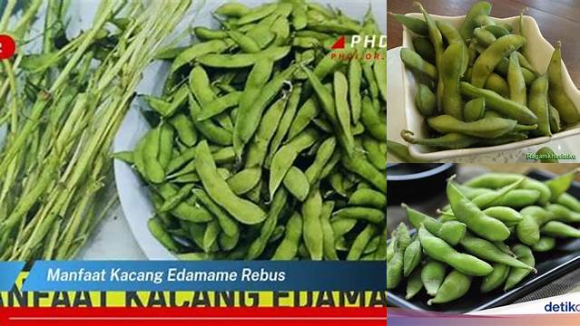 Temukan Manfaat Kacang Edamame Rebus yang Tersembunyi dan Jarang Diketahui