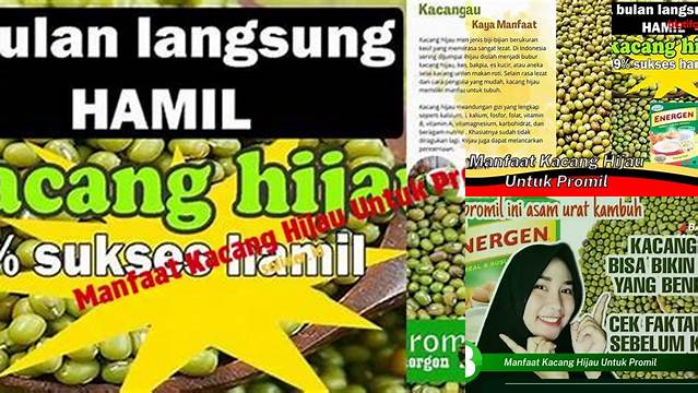 Ketahui Manfaat Kacang Hijau untuk Promil yang Jarang Diketahui