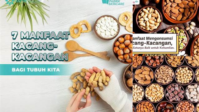 Temukan 7 Manfaat Kacang-kacangan yang Jarang Diketahui