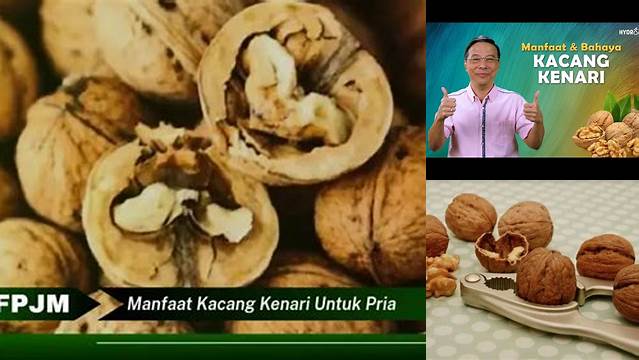 Manfaat Kacang Kenari untuk Pria, Temuan Baru Penting!