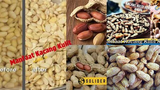 Temukan Manfaat Kacang Kulit yang Jarang Diketahui untuk Kesehatan Anda