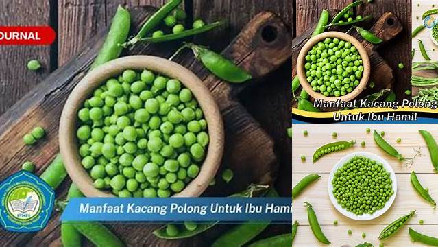Manfaat Kacang Polong yang Jarang Diketahui untuk Ibu Hamil