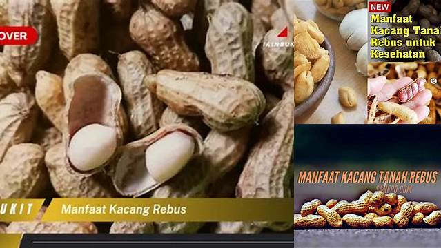 Temukan Beragam Manfaat Kacang Rebus yang Jarang Diketahui