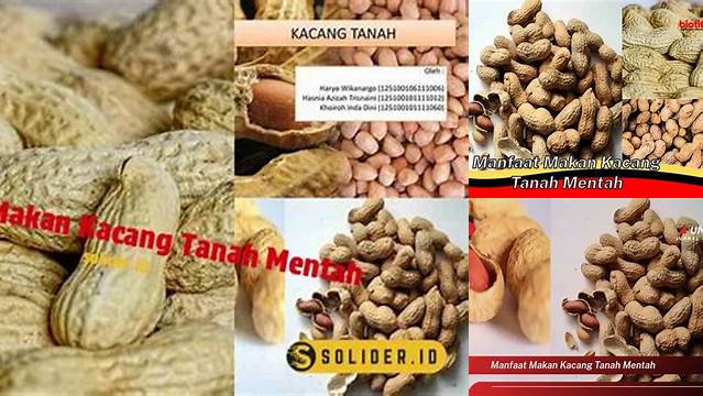 Temukan Manfaat Kacang Tanah Mentah yang Jarang Diketahui yang Akan Mengubah Hidup Anda