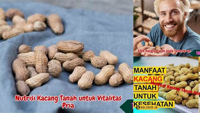 Temukan Khasiat Kacang Tanah untuk Pria yang Jarang Diketahui