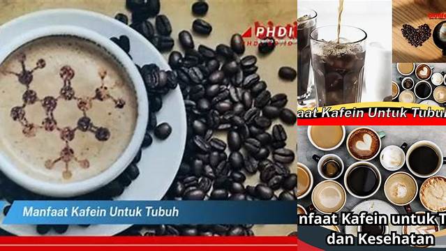 Terungkap! 7 Manfaat Kafein untuk Tubuh yang Jarang Diketahui
