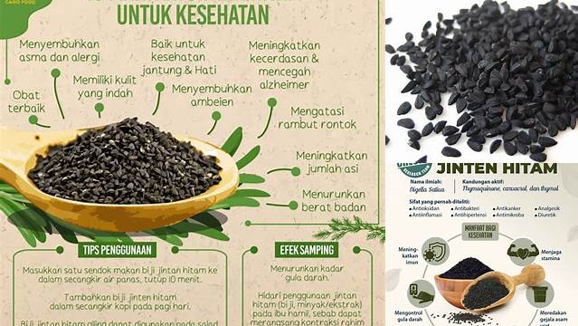 Temukan Manfaat Lengkap Jinten Hitam yang Jarang Diketahui