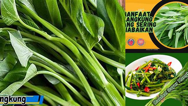 Temukan 8 Manfaat Kangkung yang Jarang Diketahui untuk Kesehatan Anda