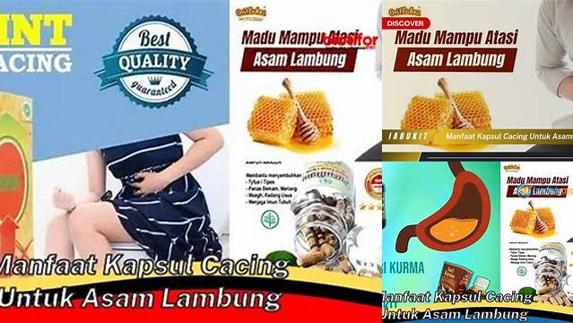 Temukan Khasiat Kapsul Cacing untuk Asam Lambung yang Jarang Diketahui!