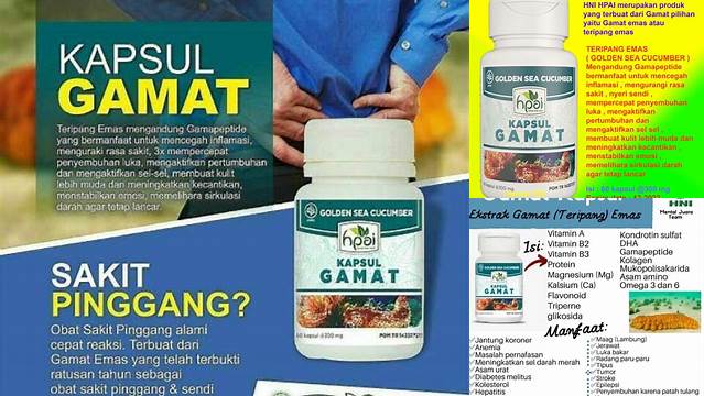 Temukan Manfaat Kapsul Gamat HPAI yang Jarang Diketahui