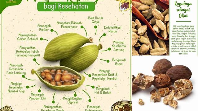 10 Manfaat Kapulaga untuk Rahim yang Jarang Diketahui