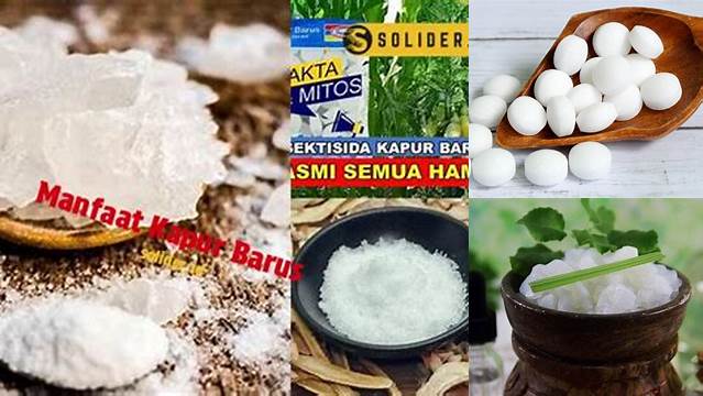 Temukan 10 Manfaat Kapur Barus yang Jarang Diketahui