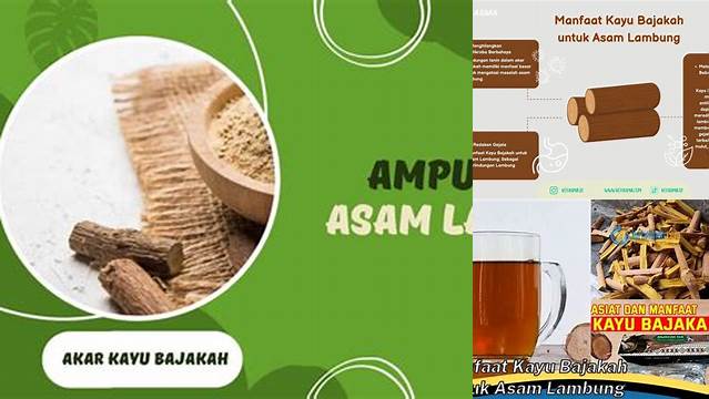 Temukan Manfaat Kayu Bajakah untuk Asam Lambung Anda