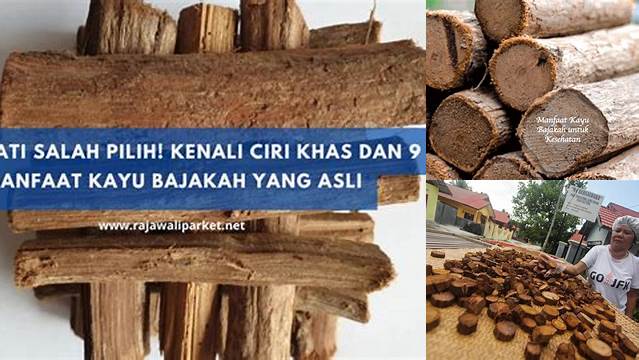 Temukan Manfaat Kayu Bajakah untuk Ginjal yang Jarang Diketahui