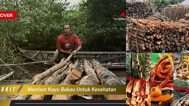 Temukan Manfaat Kayu Bakau yang Jarang Diketahui, Penting untuk Diketahui!