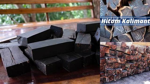 Temukan Khasiat Kayu Hitam: 9 Manfaat Langka yang Perlu Anda Tahu