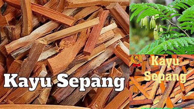 Manfaat Kayu Sappang yang Jarang Diketahui, Dijamin Bikin Penasaran!