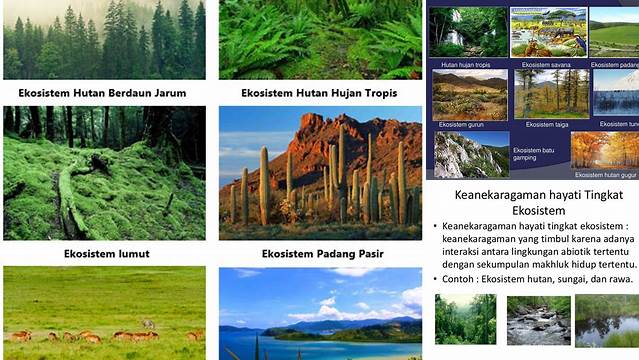 Temukan 6 Manfaat Keanekaragaman Hayati untuk Ekosistem yang Jarang Diketahui