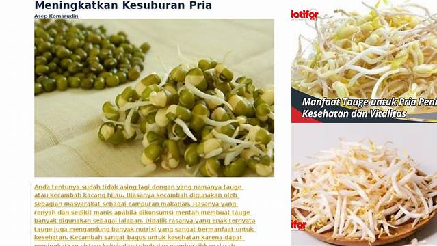 Manfaat Kecambah yang Jarang Diketahui untuk Vitalitas Pria, Wajib Tahu!